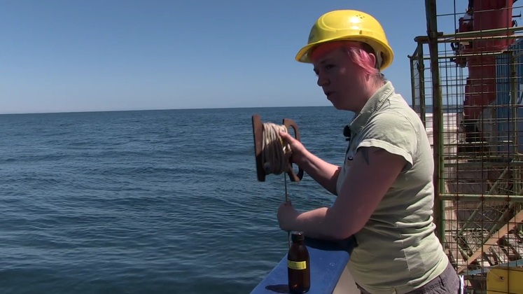 Still large phytoplankton analysis off the coast of namibia
