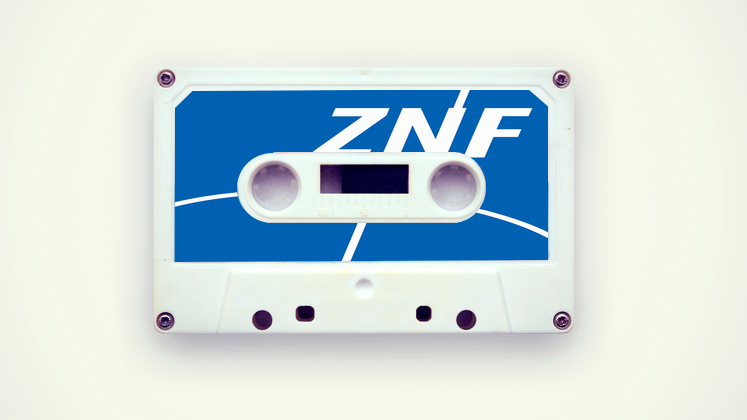 Large logo znf 500x500